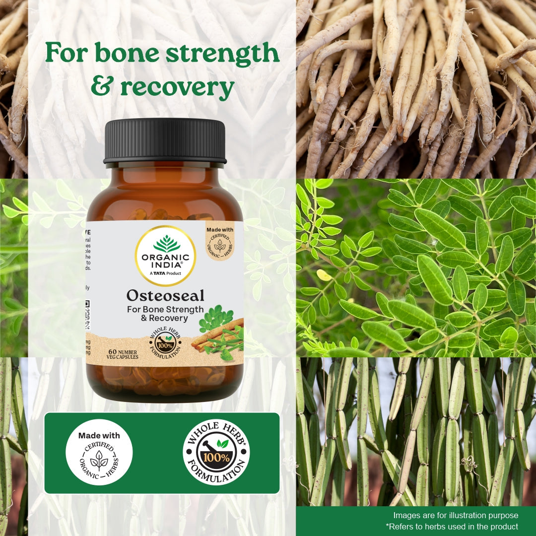 Osteoseal to Increase your Bone Strength