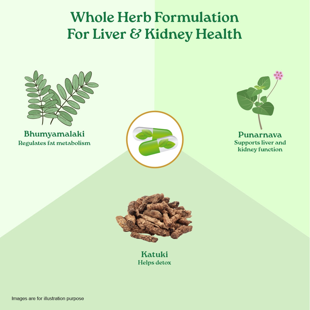 Liver Kidney Care