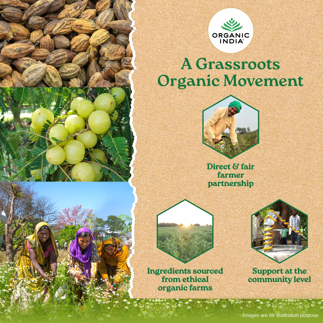 Triphala Capsules