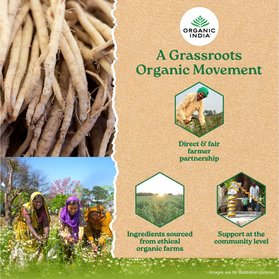 Shatavari to Unleash the Power of Natural Estrogens