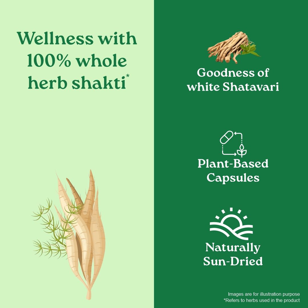 Shatavari to Unleash the Power of Natural Estrogens