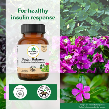 Sugar Balance Capsules