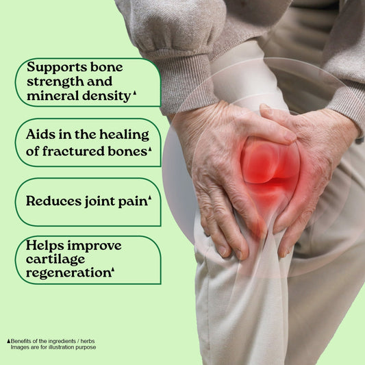 Osteoseal to Increase your Bone Strength