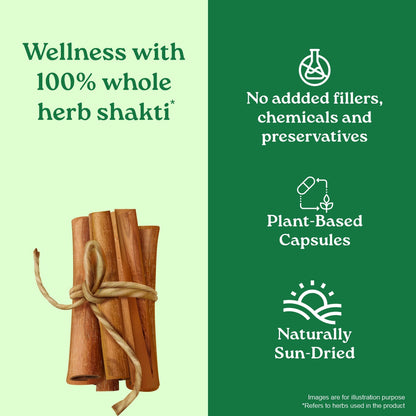 Cinnamon Capsules