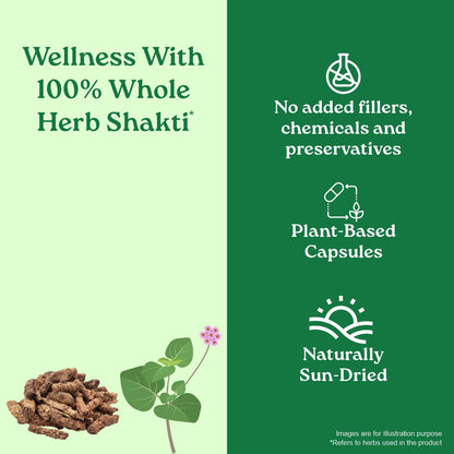 Liver Kidney Care