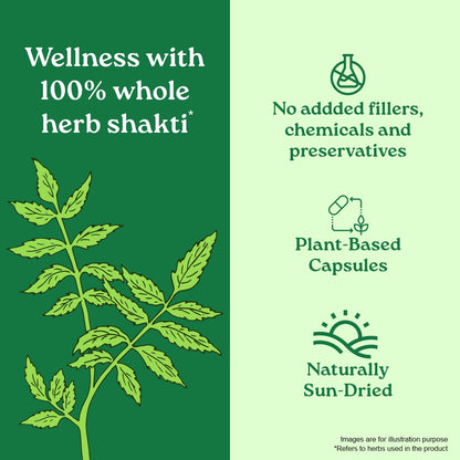 Neem Capsules