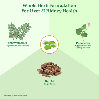Liver Kidney Care