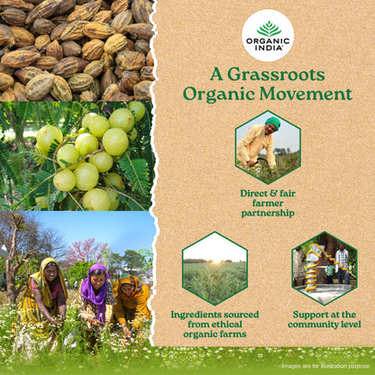 Triphala Capsules