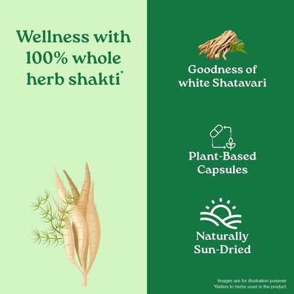 Shatavari to Unleash the Power of Natural Estrogens